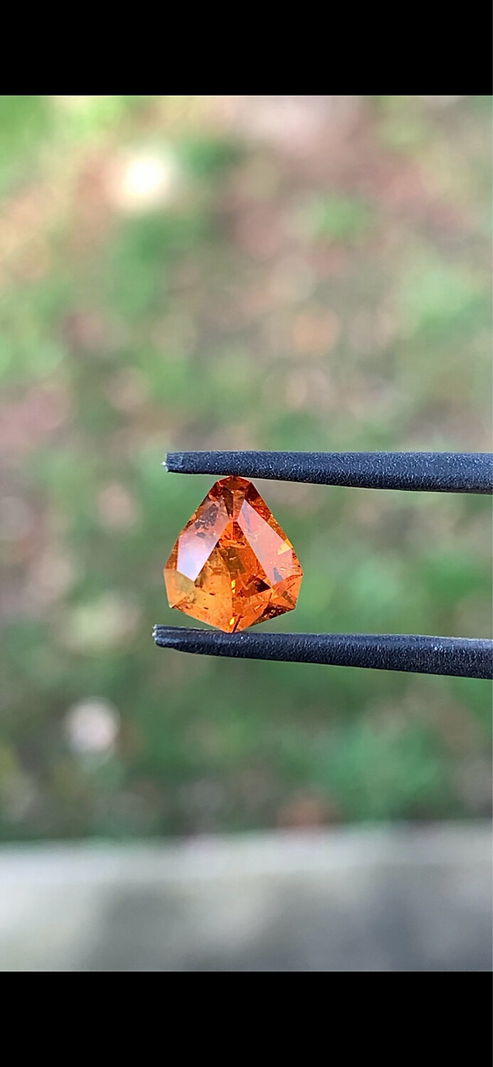 ᴬᵀᵞᴾᴵᶜᴬᴸ WILD GARNET 1.35ct