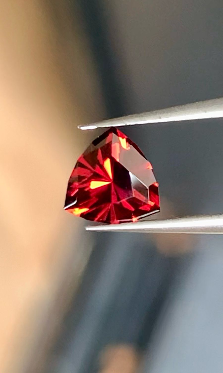 ᴬᵀᵞᴾᴵᶜᴬᴸ GARNET PLATINIUM RING