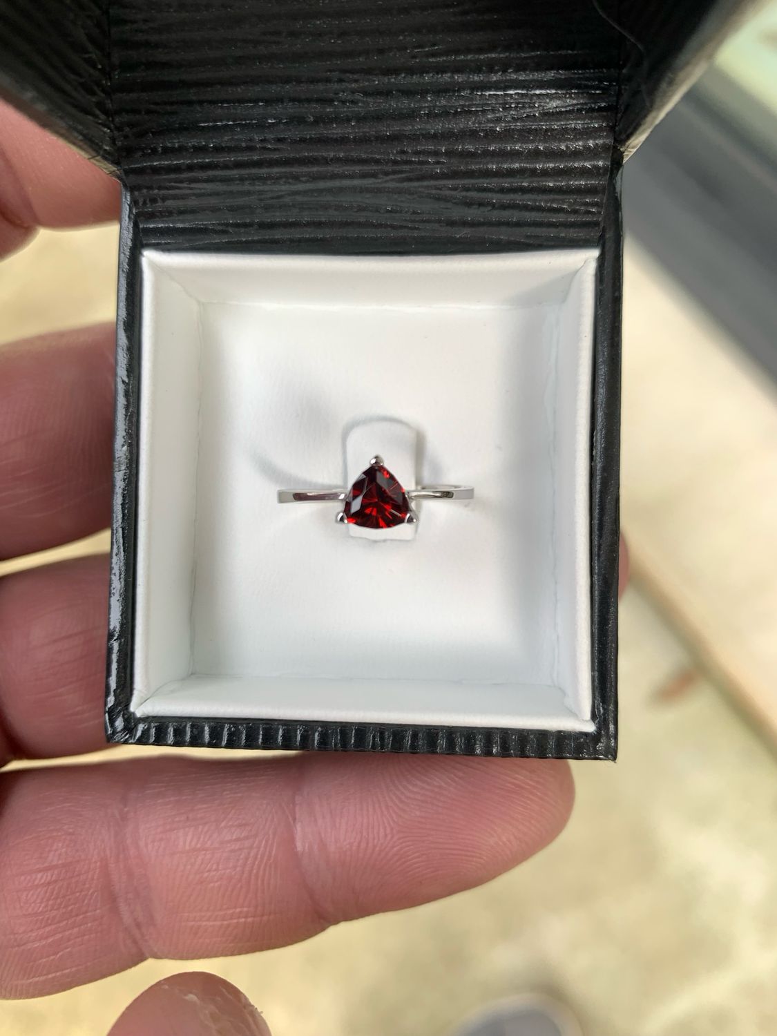 ᴬᵀᵞᴾᴵᶜᴬᴸ GARNET PLATINIUM RING