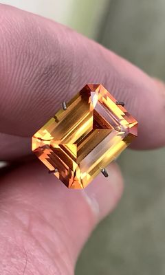 ᴬᵀᵞᴾᴵᶜᴬᴸ CUSTOM ORDER TROY 🌱