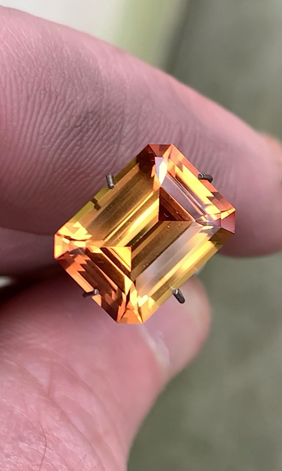 ᴬᵀᵞᴾᴵᶜᴬᴸ CUSTOM ORDER TROY 🌱