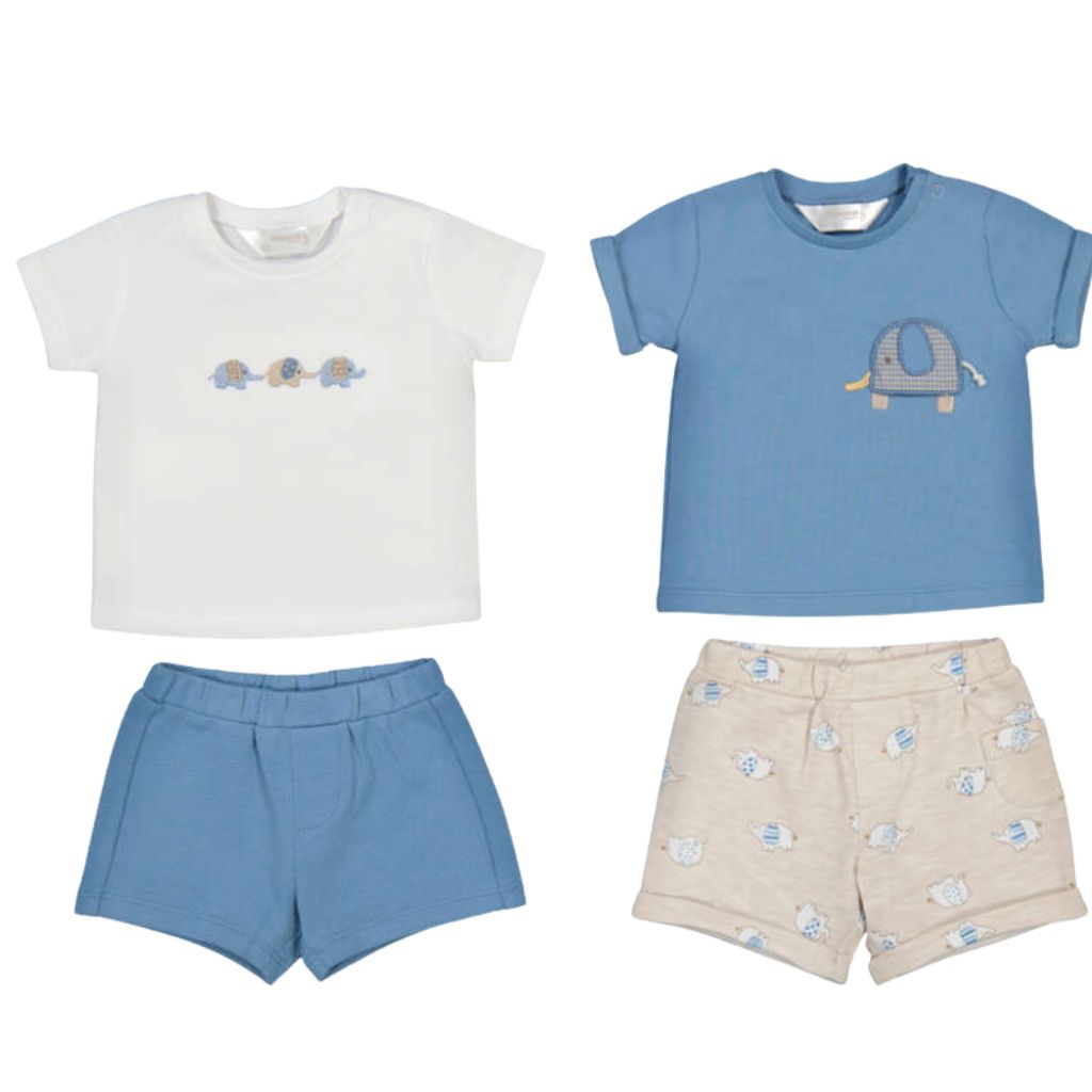 Short Sleeve and Short Set