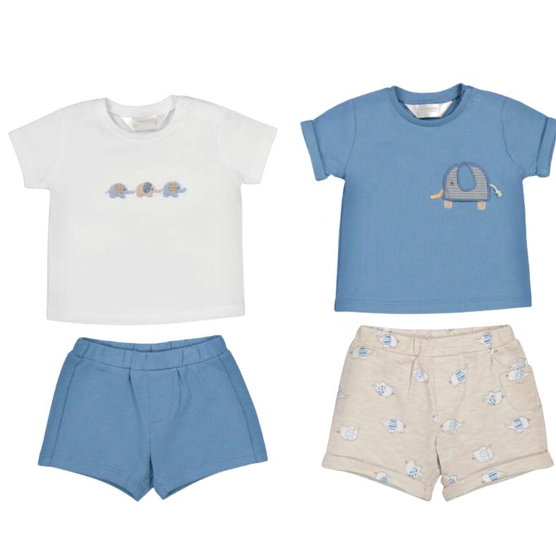 Short Sleeve and Short Set