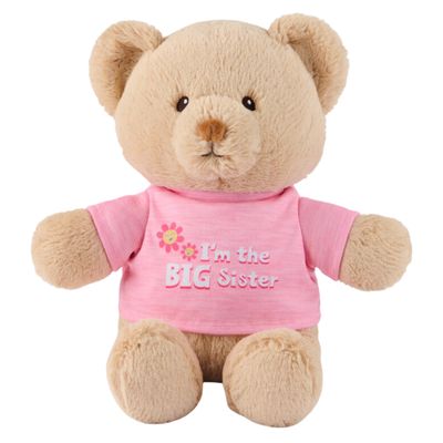 I'm the Big Sister Bear Light Pink 12 in