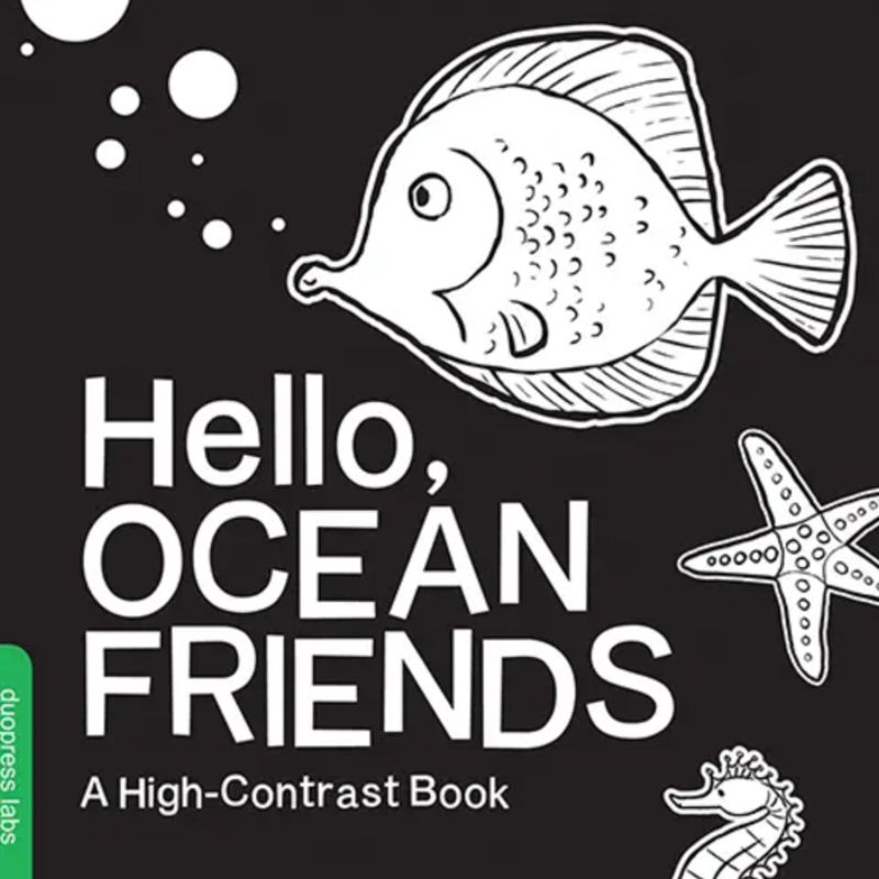 Hello, Ocean Friends High Contrast Books