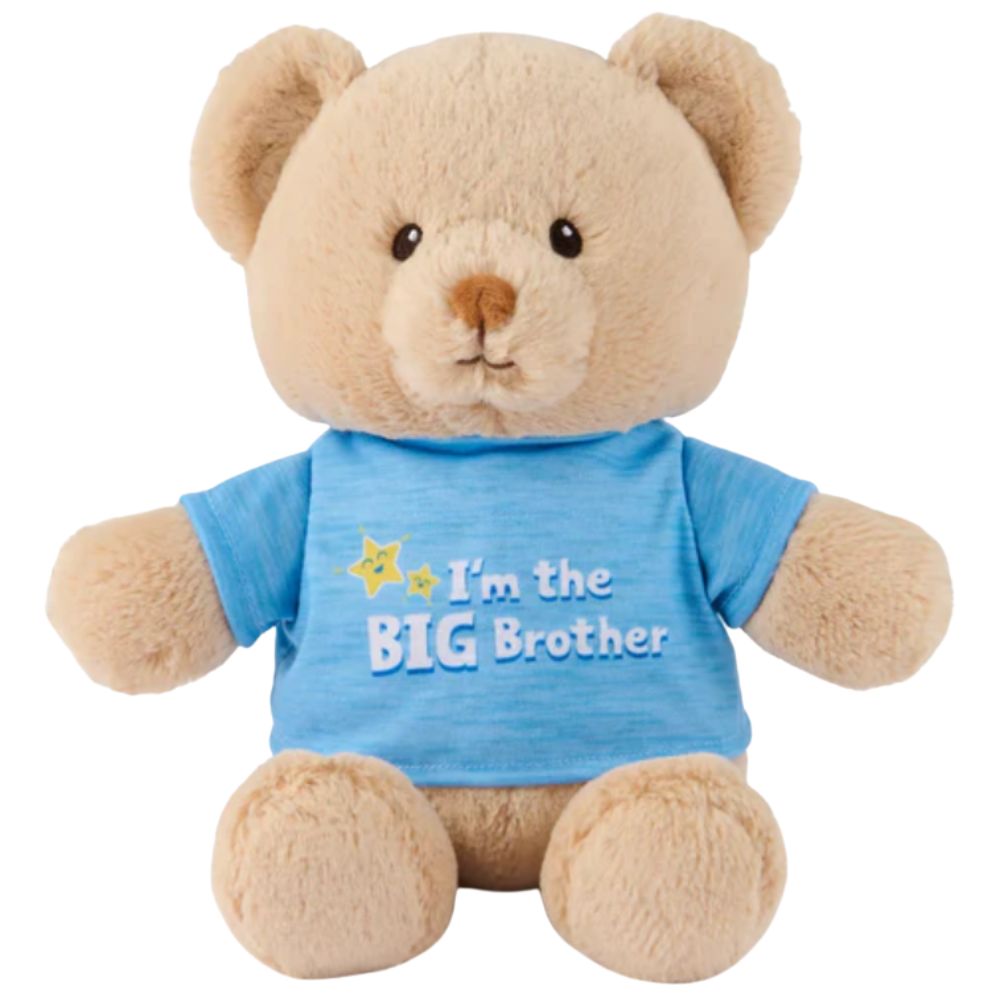 I'm The Big Brother Bear Blue 12"