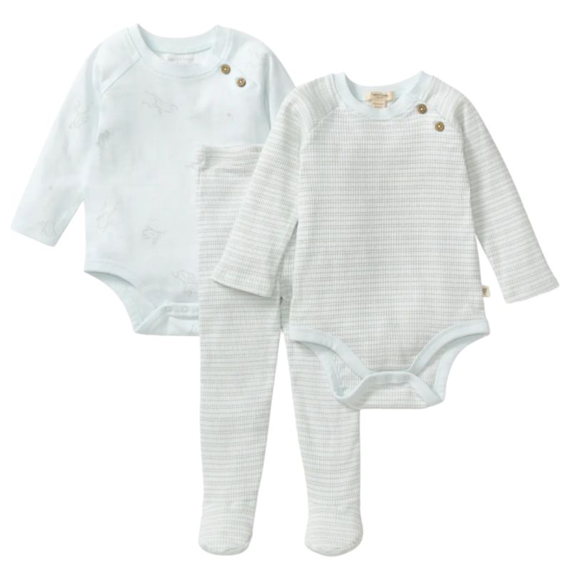 Frog Baby Boy 3-Piece Bodysuit &amp; Pants Set