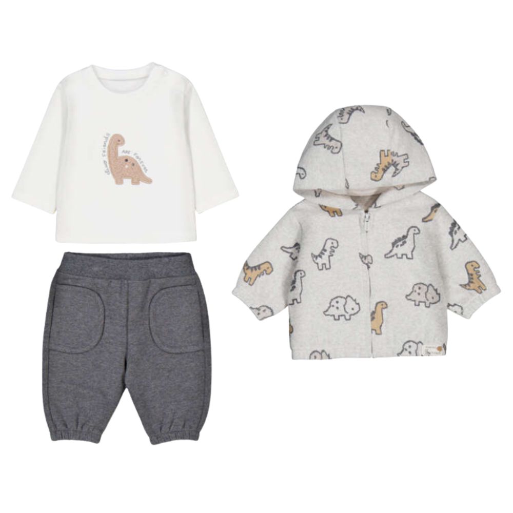 Dinosaur 3 Piece Tracksuit