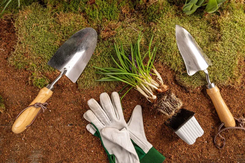 Cultivation Tools