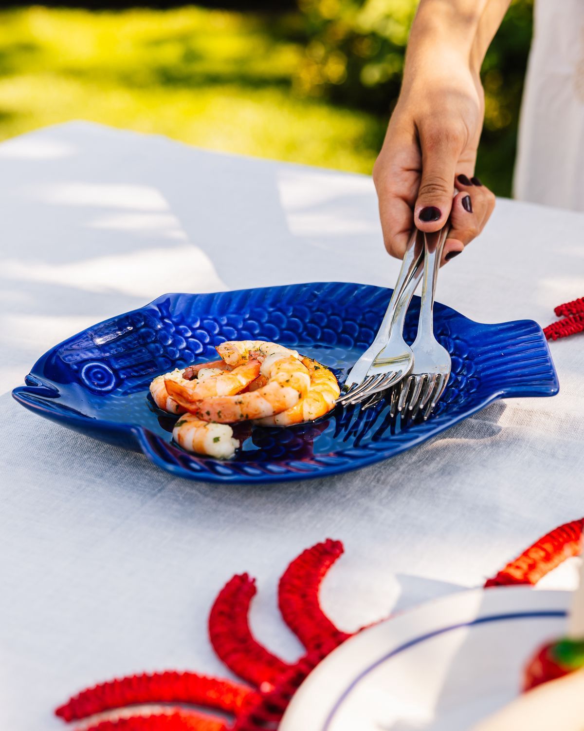 Fish plate blue