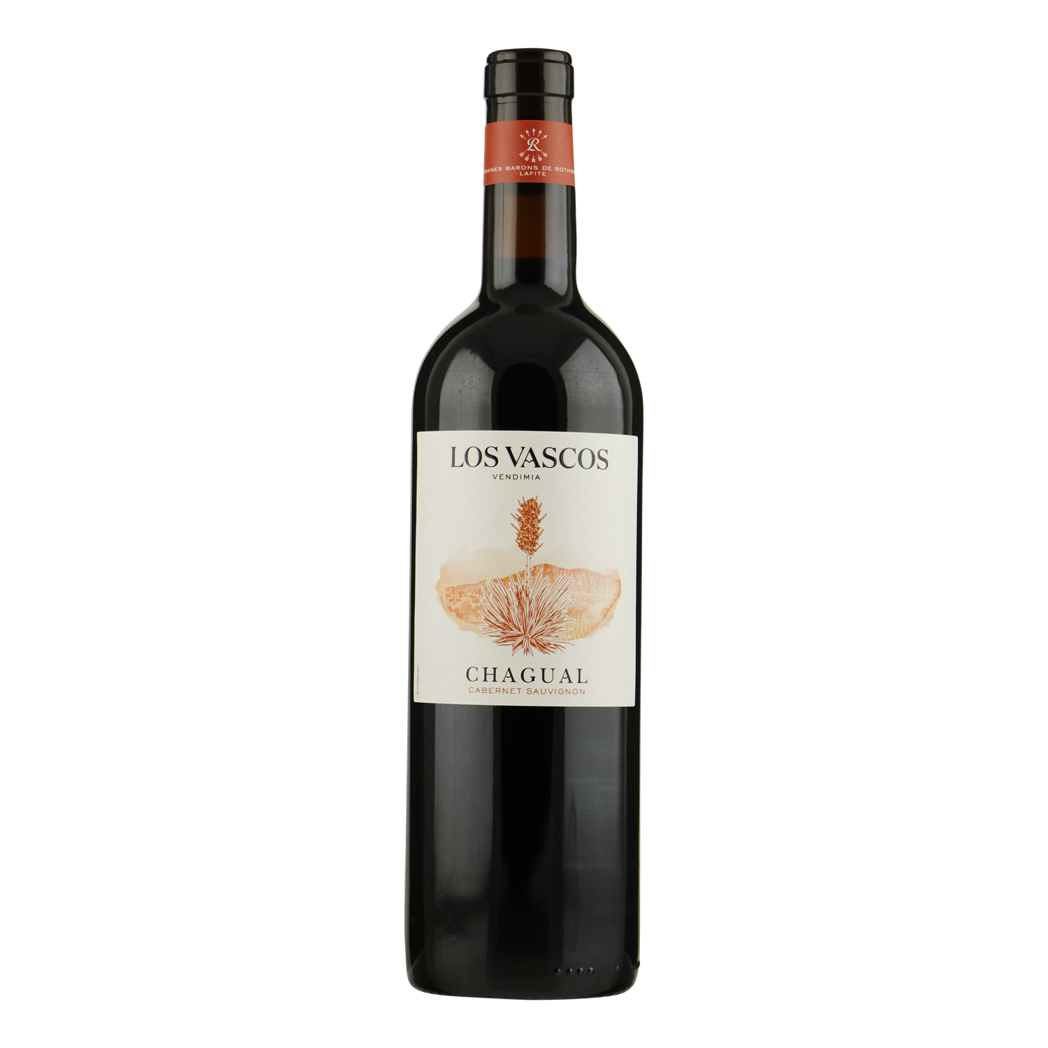 Chagual Cabernet Sauvignon - Los Vascos bio