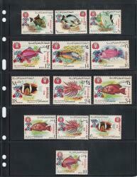 Lighthouse Vario 5C Pages -- 5 Pocket -- Pack of 5