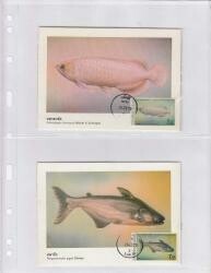 Lighthouse Vario 2C Pages -- 2 Pocket -- Professional Pack of 25