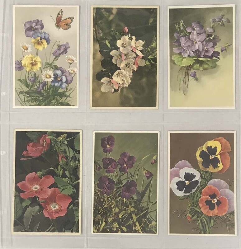 Lighthouse Maximum Pages -- 6 Pockets (Vintage Postcards (Vertical))