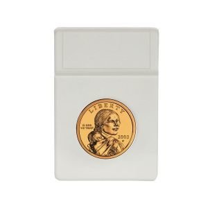 BCW Display Inserts - Small Dollar
