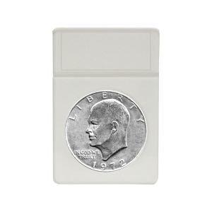 BCW Display Inserts - Large Dollar