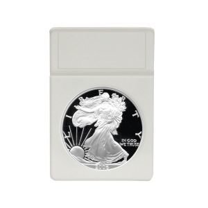 BCW Display Inserts - Silver Eagle