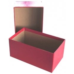 Regular Duty Modern Currency Box