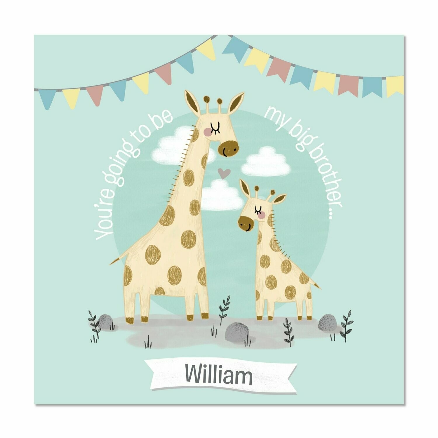 Personalised Big Brother Story Book