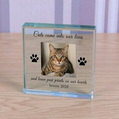 ​Glass Token - Paw Prints