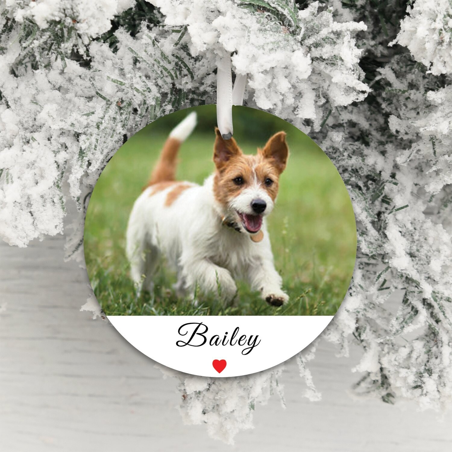 Decoration - Pet Photo
