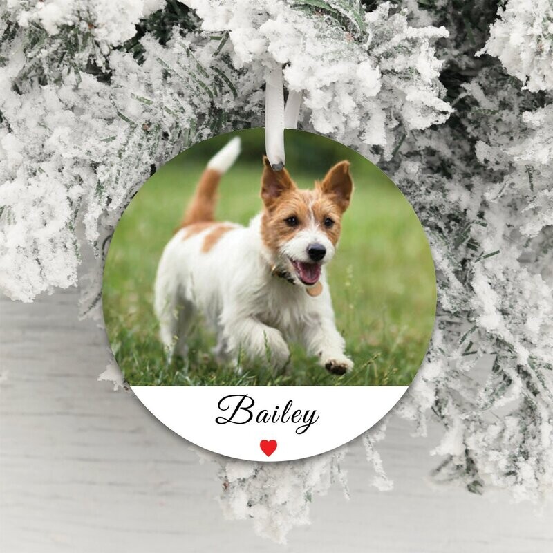Decoration - Pet Photo