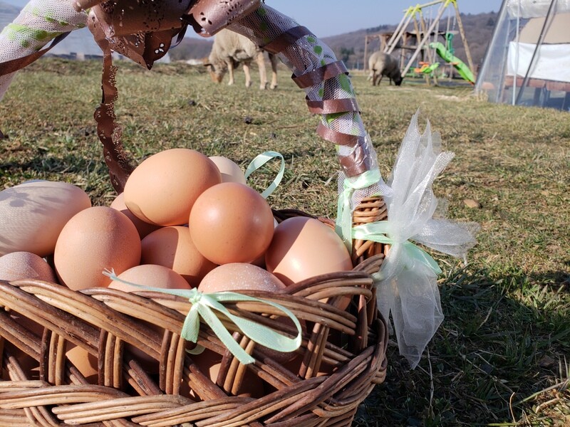 Oeufs moyens