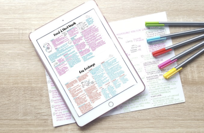 A-level Biology Notes | Year 1