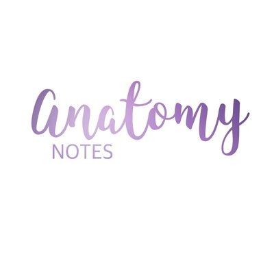 Anatomy