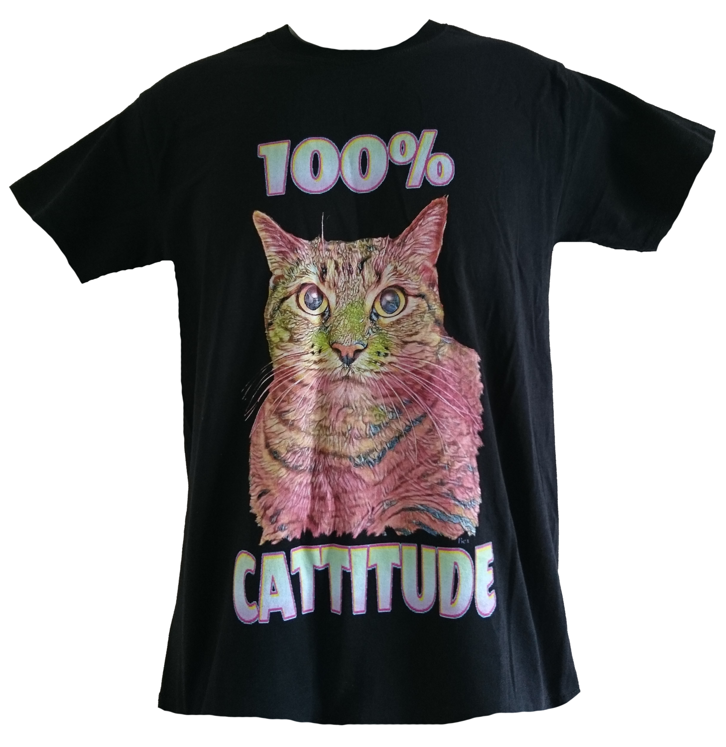 100% Cattitude