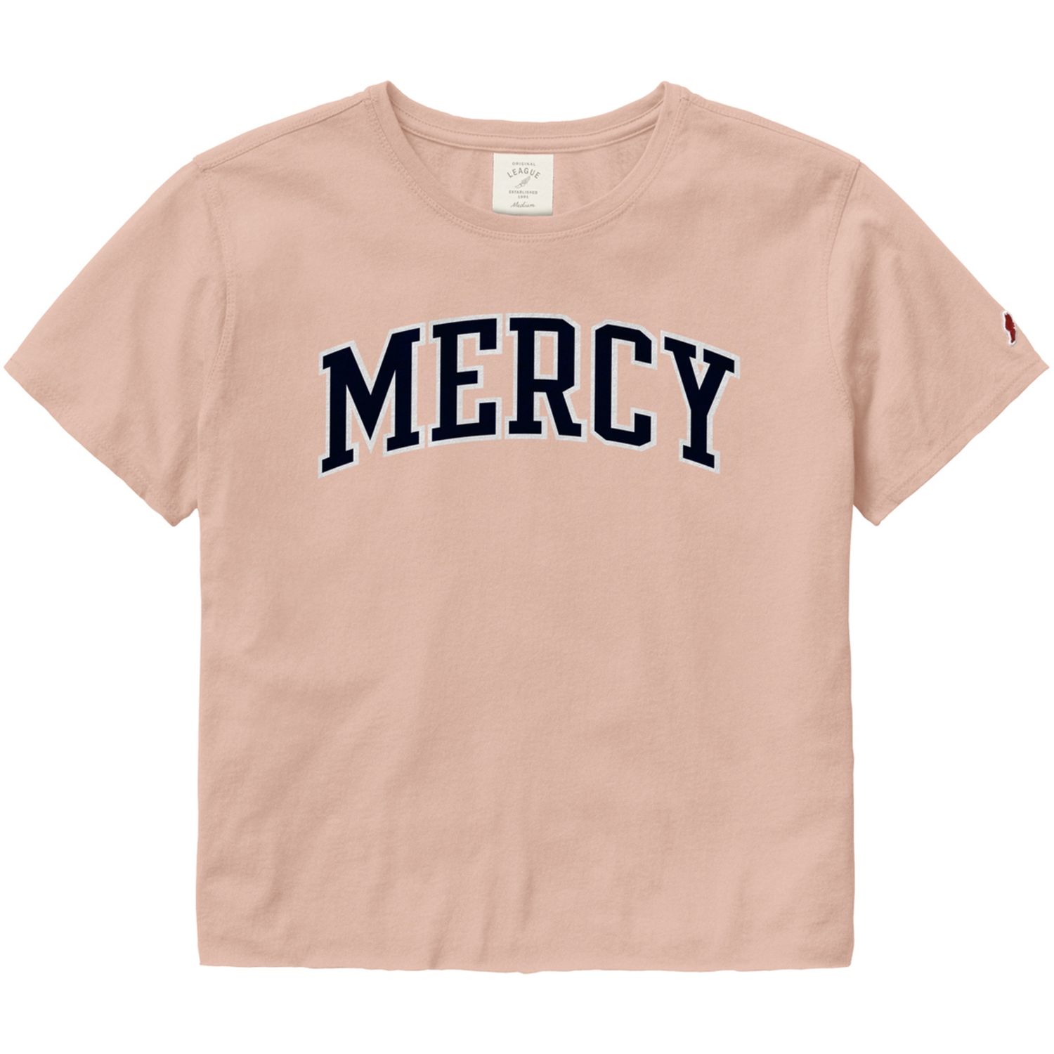 League Cotton Clothesline Crop tee(dusty rose)
