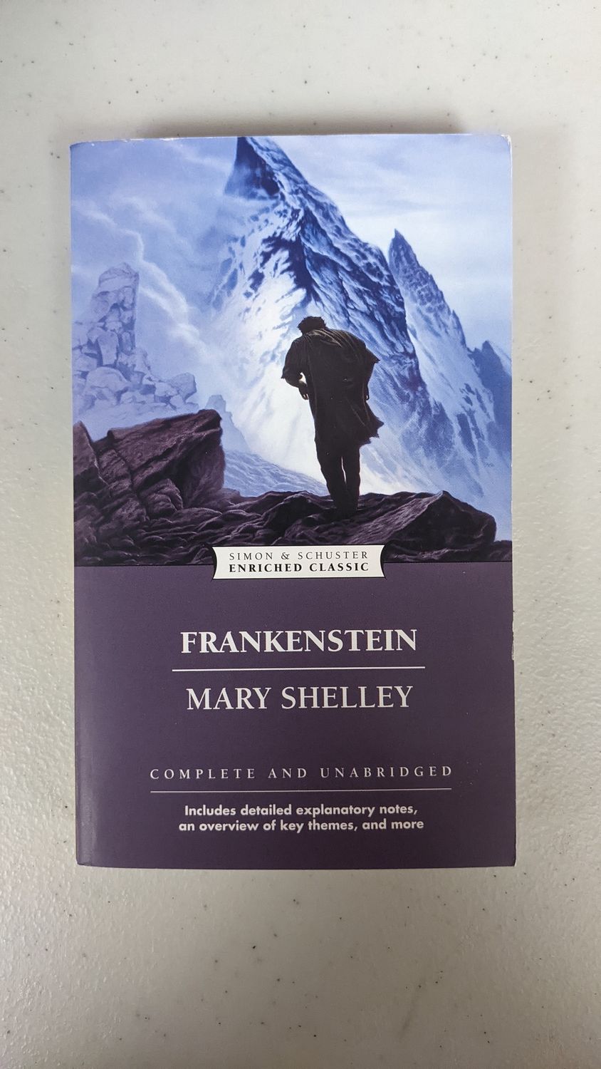 Frankenstein (Grade 10)