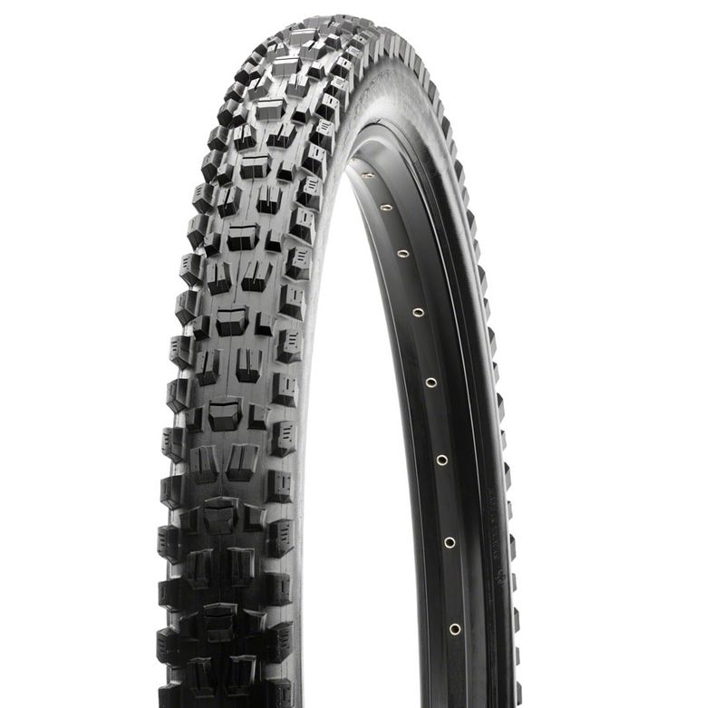 Maxxis Assegai Bicycle Tire