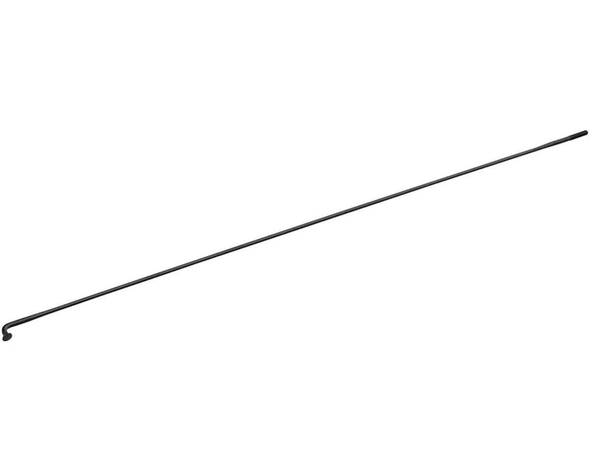Bicycle Spoke