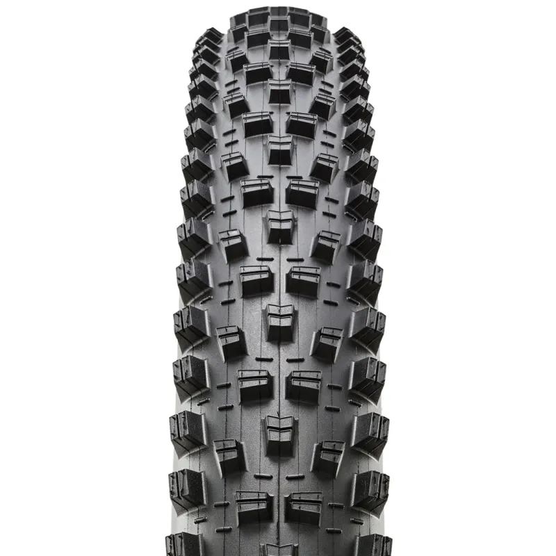 Maxxis Forekaster Bicycle Tire
