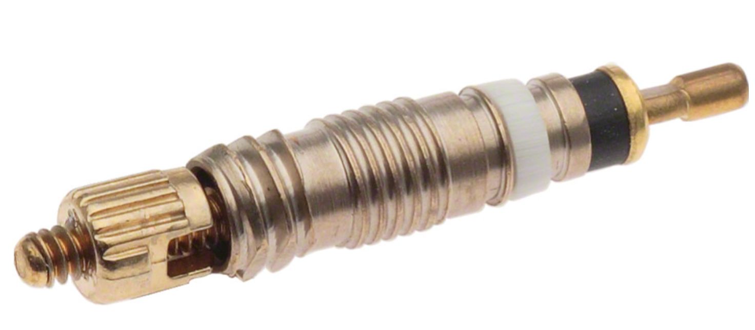 Bicycle Valve Stem