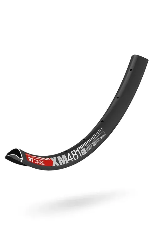 DT Swiss XM 481 Rim - 29", Disc, Black, 32H