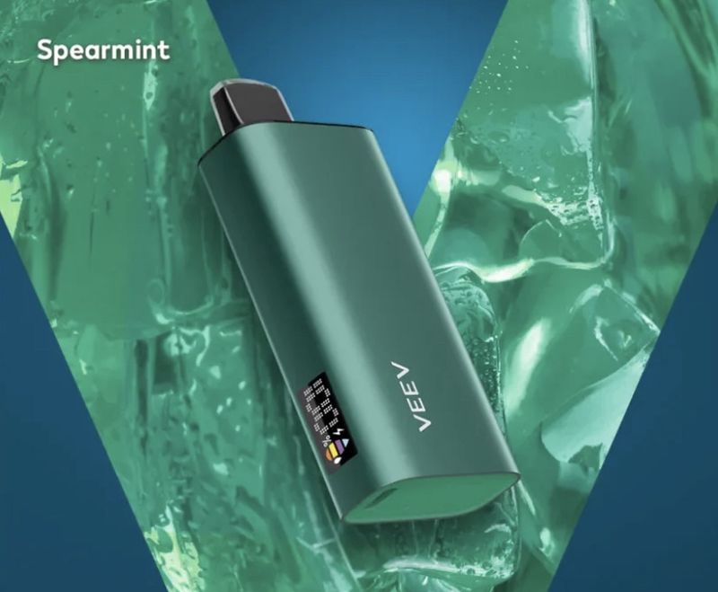 VEEV 8000 Puffs Disposable - Spearmint