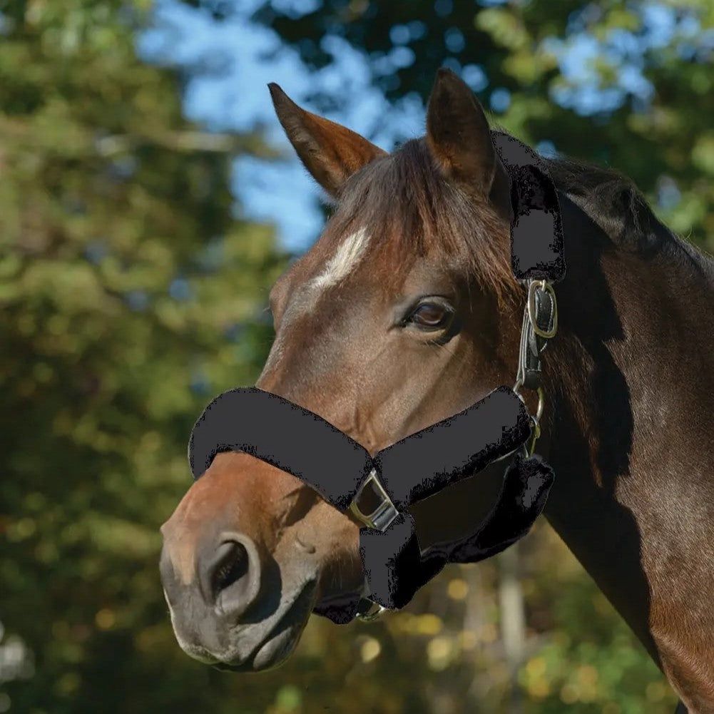 ARMA SupaFleece Halter Set