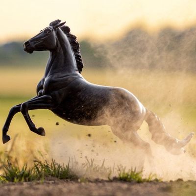 BREYER ATP Power