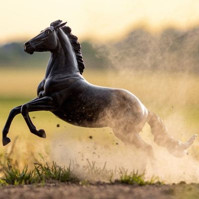 BREYER ATP Power