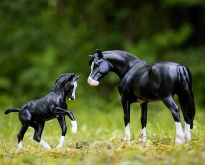 BREYER Nistar Blazing Kansas LOM &amp; GTF Blazing Ethel