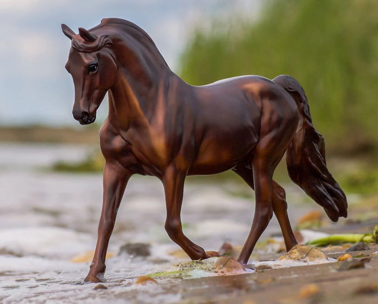 BREYER MorganQuest Native Sun