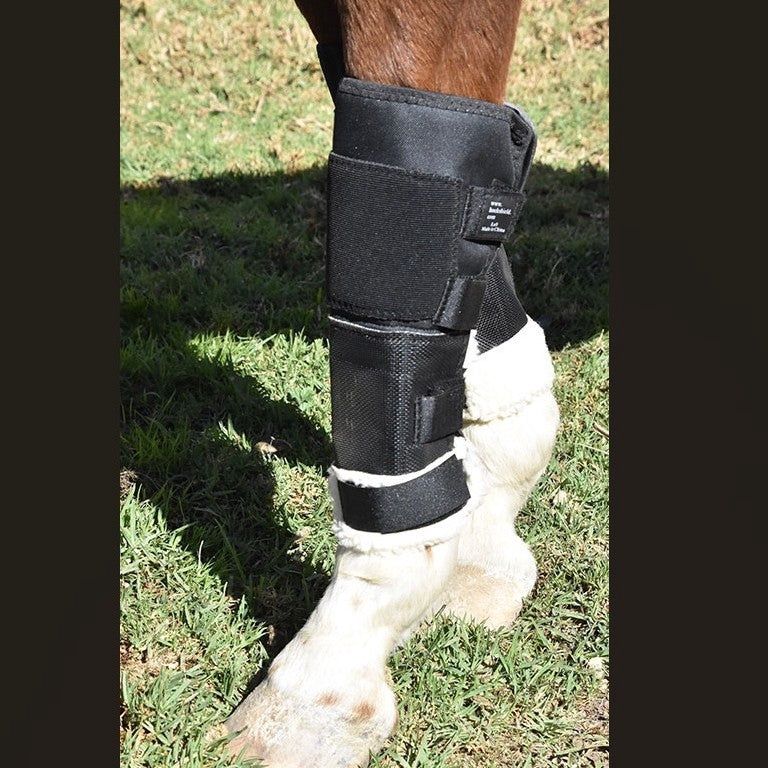 Knee Shield