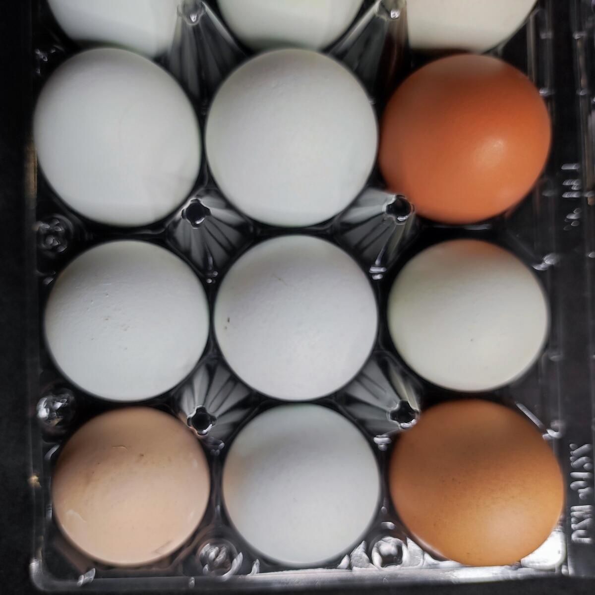 Fresh Farm Eggs