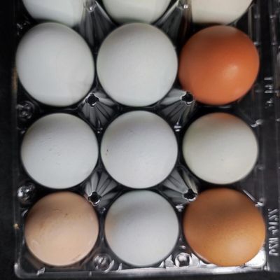 Fresh Farm Eggs