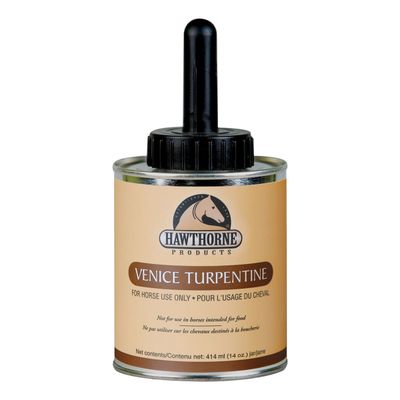 Venice Turpentine w/ Brush