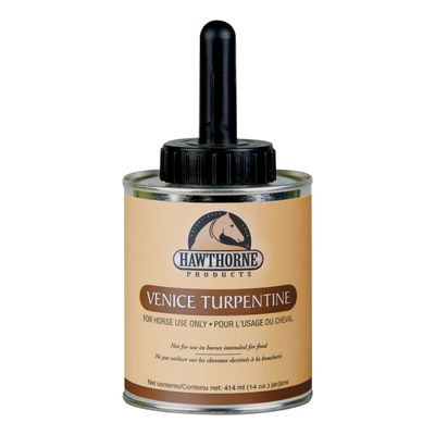 Venice Turpentine w/ Brush