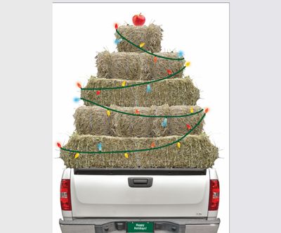 Horse Christmas Card: Hay Truck