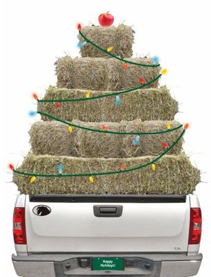 Horse Christmas Card: Hay Truck